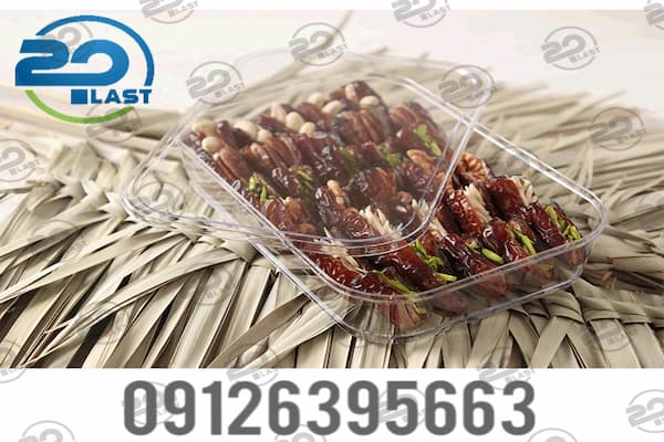 ظرف پلاستیکی درب دار مستطیلی بزرگ