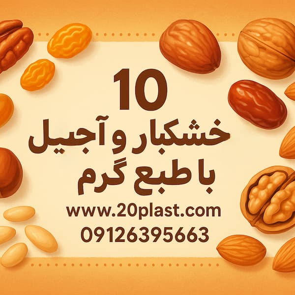 10 مدل خشکبار و آجیل که طبع گرم دارند