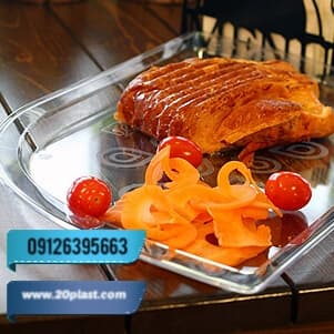 سینی یکبار مصرف کریستالی