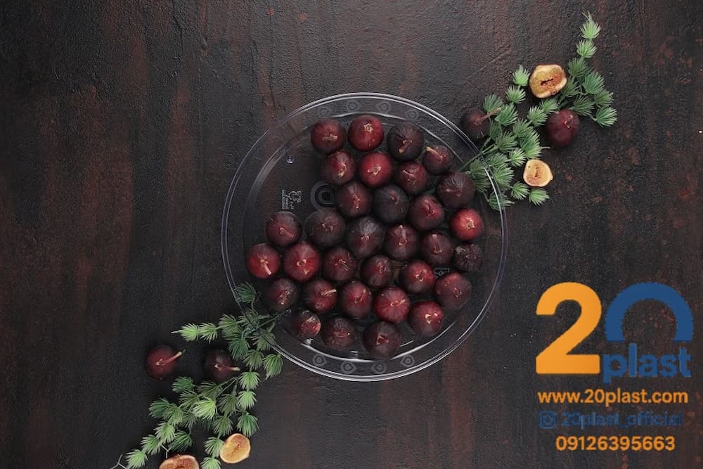 دیس یکبار مصرف لوکس