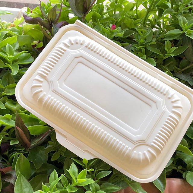 بازار ظروف یکبار مصرف گیاهی