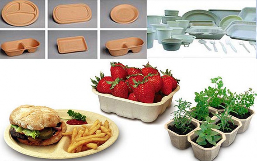 ظروف یکبار مصرف گیاهی قیمت