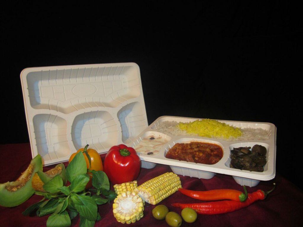 عمده فروش ظروف یکبار مصرف گیاهی