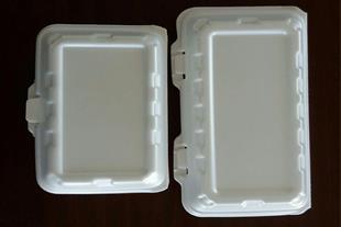 پخش ظروف یکبار مصرف فوم