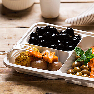 نمایندگی پخش ظروف یکبار مصرف گیاهی