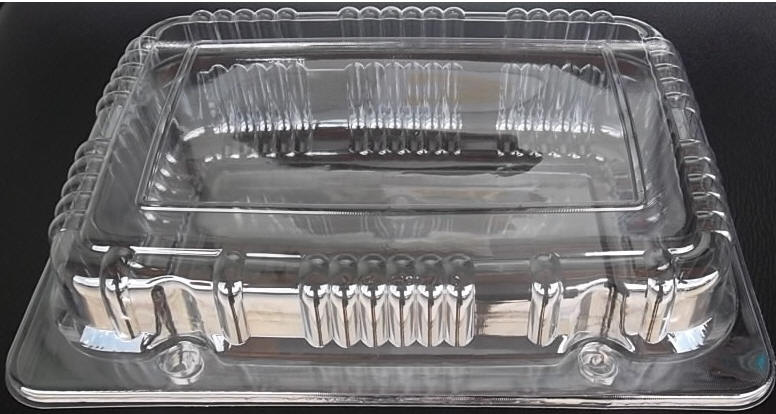 کارخانه ظروف پلاستیکی یکبار مصرف