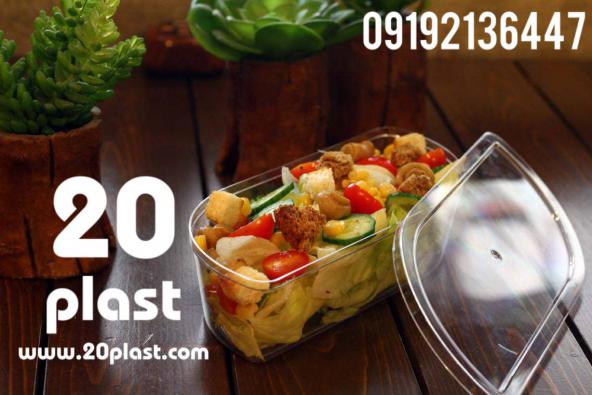 انواع ظروف یکبار مصرف لوکس