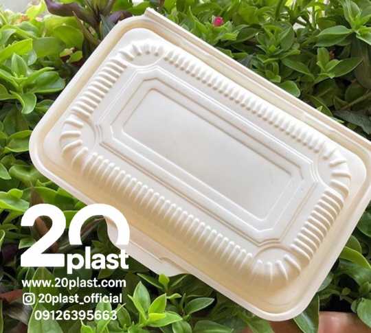 ظروف یکبار مصرف گیاهی، محصولی از دل طبیعت!